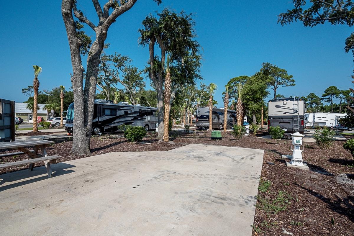 Santa Rosa RV Resort Free to Roam